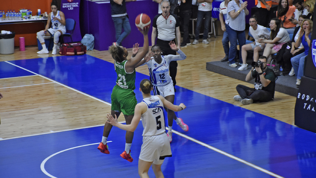 Türkiye Kadınlar Basketbol Ligi final serisi