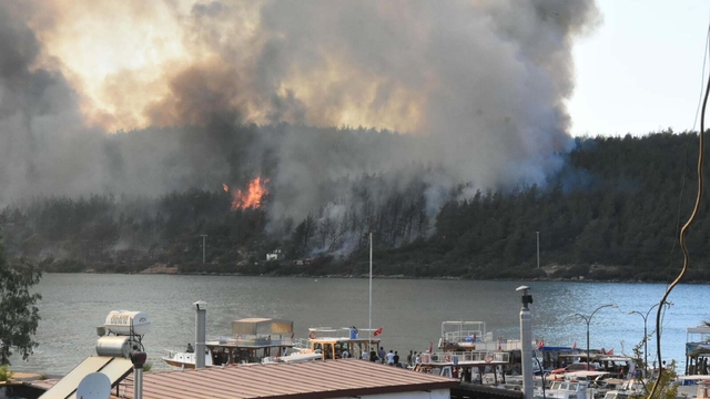 Bodrum'da PKK'nın 100 bin lira karşılığında 'ormanı yak' dediği sanığa, 2 kez ağırlaştırılmış müebbet  verildi