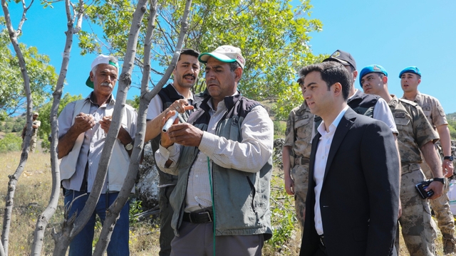 Bingöl'de 3 bin menengiç ağacına fıstık aşısı yapıldı