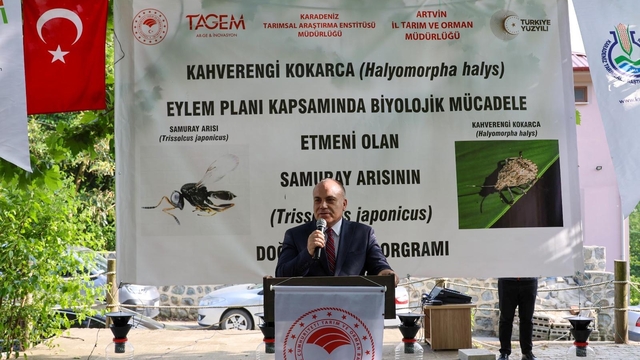 Artvin'de doğaya 12 bin samuray arı salındı