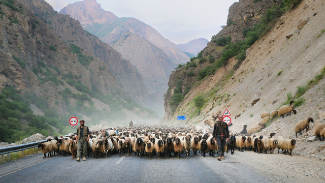 Siirtli göçerler, günler süren yolculuğun ardından Hakkari'ye ulaştı