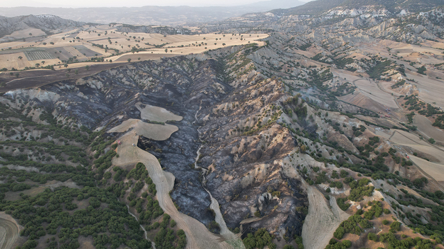 Kula'da arazide çıkan yangın ormanı yaktı; 10 hektar alan küle döndü