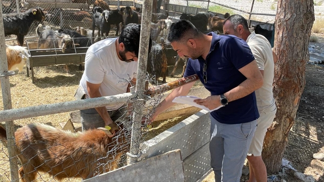 Kemer'de kurban satış ve kesim yerlerine yönelik denetimler sürüyor