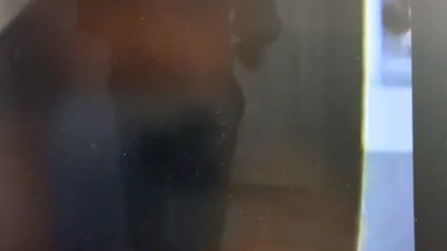 Kaş Adliyesi'ndeki 'tuvalet' krizinin görüntüsü ortaya çıktı