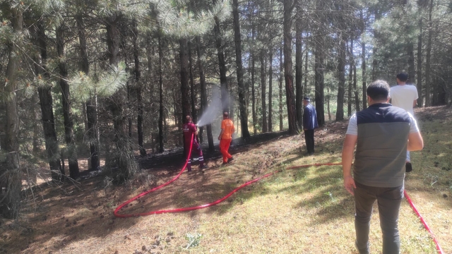 Bingöl'de orman yangını