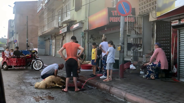 Adana'da 'Kurban Bayramı' manzaraları