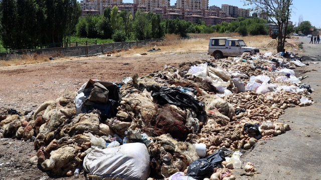 Gaziantep'te, yol kenarlarına atılan yüzlerce kurban derisi ve atık tepki topladı