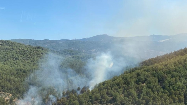 Muğla'nın Milas ilçesinde orman yangını çıktı