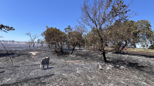 Çanakkale'de tarım arazisindeki yangın bozuk orman alanına sıçradı