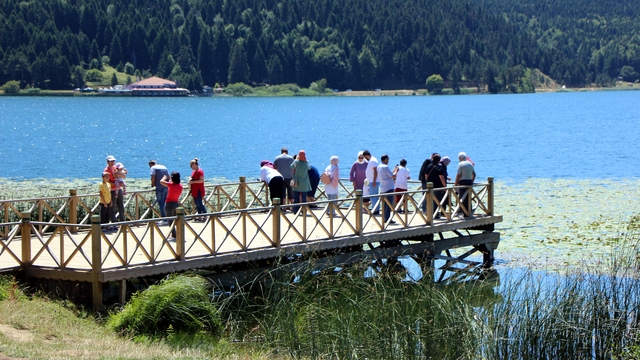 Bolu'da, ormanlara giriş ile milli park ve tabiat parklarında mangal yakmak 1 Temmuz'dan itibaren yasak