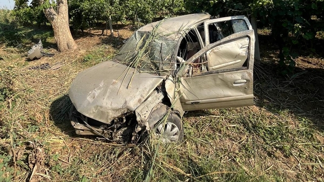 Salihli'de üzüm bağına giren otomobilin sürücüsü yaralandı