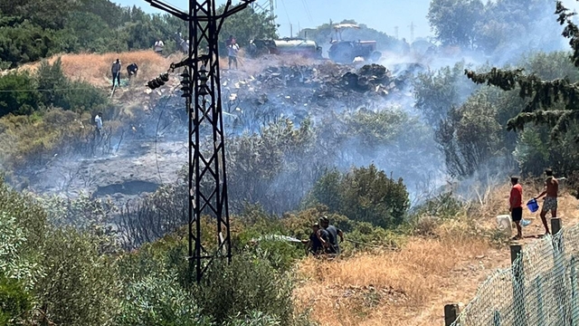 Milas'ta makilik alanda çıkan yangın söndürüldü