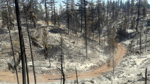 Karaman'daki orman yangını kontrol altına alındı