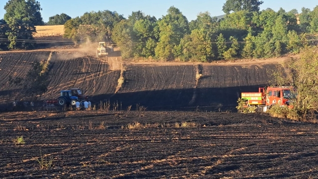 Bilecik'te buğday tarlasında çıkan yangın söndürüldü