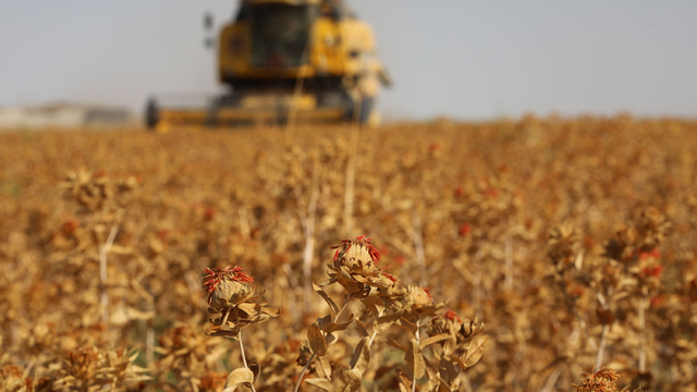 Konya'da tarımsal destek başvuruları başladı