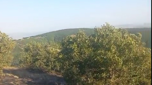 Tokat'ta otlukta başlayıp ormana sıçrayan yangın 2 saatte söndürüldü