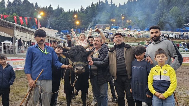 Artvin'de "43. Kafkasör Kültür, Turizm ve Sanat Festivali" boğa güreşleriyle sürdü
