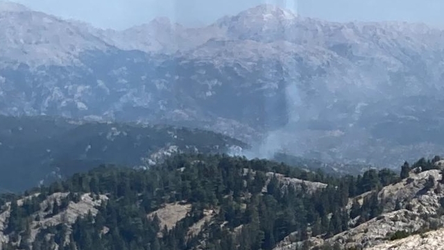 Antalya'nın Akseki ilçesinde orman yangını çıktı
