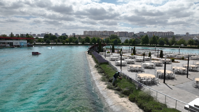 Büyükşehir Belediyesi lavanta hasadına başladı