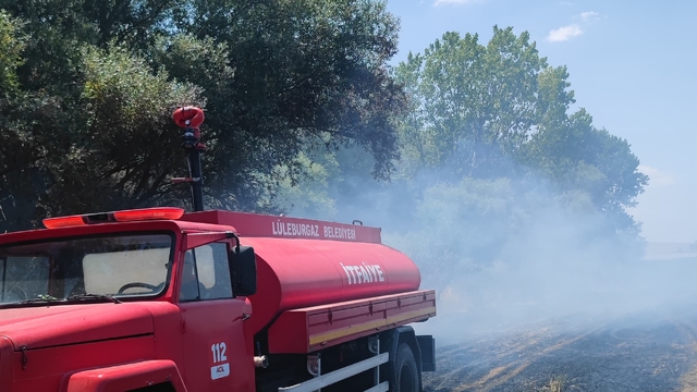 Kırklareli'nde ağaçlık alana sıçrayan anız yangını söndürüldü