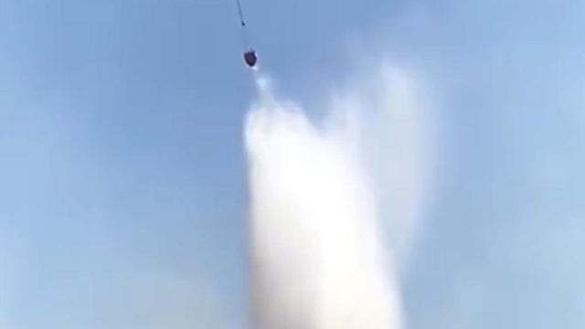 Edirne'de orman yangını