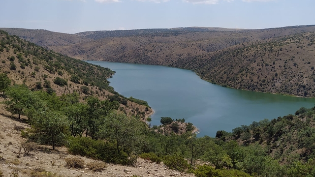 Bahşılı ilçesinde sürek avı yapıldı