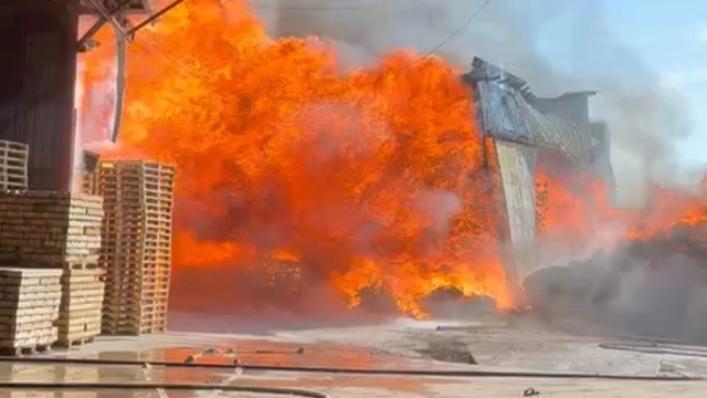 Bursa Yenişehir'de kereste fabrikasında yangın