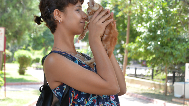 'Sahipsiz kedilerin sayısında keskin bir düşüş yaşanırsa fare sayısı artar, sokaklar Paris'e dönebilir'