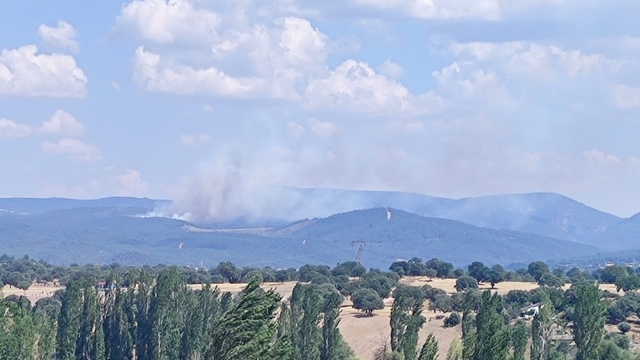 Kütahya'da ormanlık alanda çıkan yangına müdahale ediliyor
