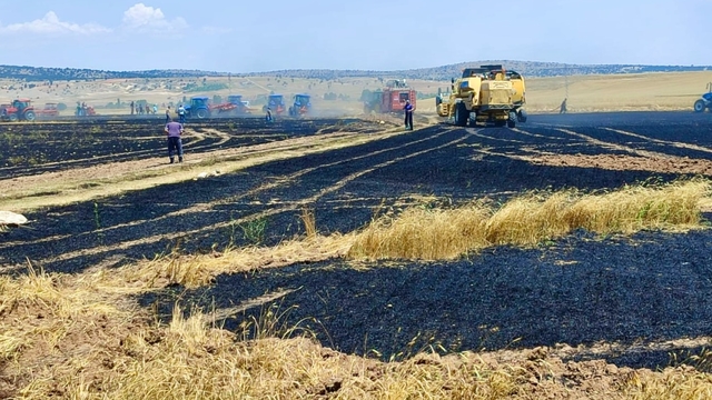 Eskişehir'de tarım arazisinde çıkan yangın söndürüldü