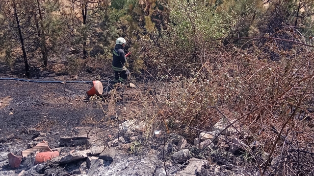 Bolu'da otoyolun kenarındaki otluk alanda çıkan yangın söndürüldü