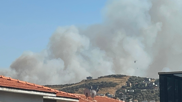 İzmir'in Foça ilçesinde orman yangını çıktı