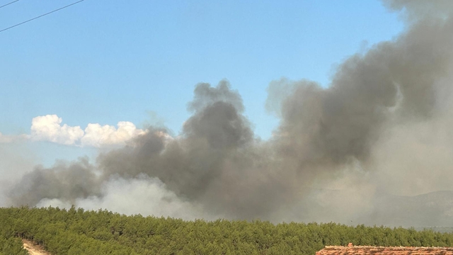 Uşak'ın Sivaslı ilçesinde çıkan orman yangınına müdahale ediliyor