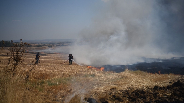 Edirne'de anız yangınında 150 dönüm tarım alanı zarar gördü