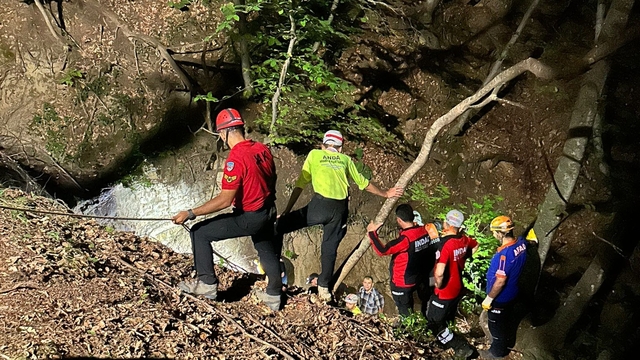 Odun toplamak üzere ormana gitti; 10 saat sonra cansız bedeni bulundu