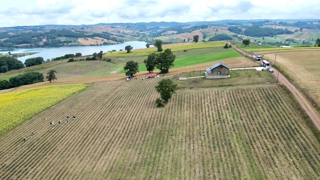 Galeri
