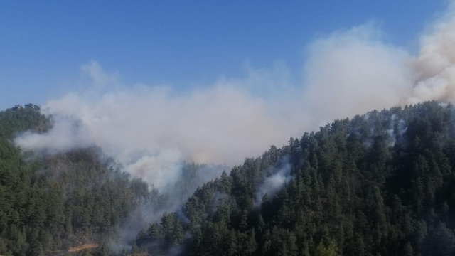 Kahramanmaraş'ta orman yangını; Fırnız'daki yangın devam ediyor, Kapıçam'daki kontrol altında (5)