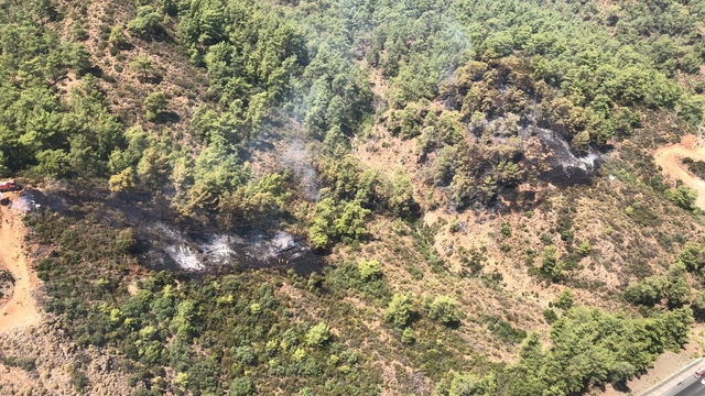 GÜNCELLEME - Muğla'nın Ortaca ilçesinde çıkan orman yangını söndürüldü