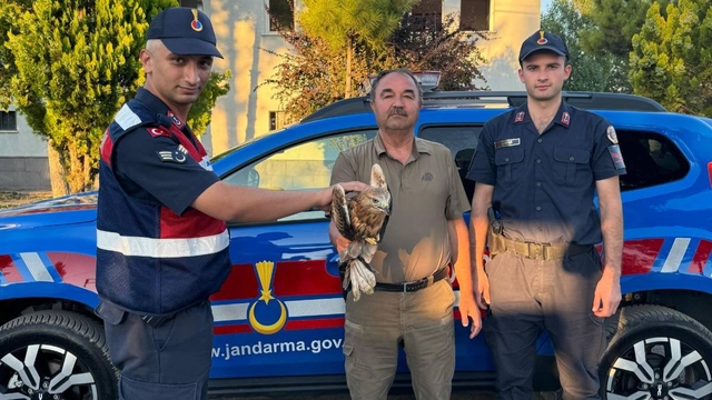 Kayseri'de arazide yaralan bulunan şahin tedavi altına alındı