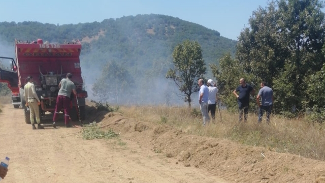 Bursa'da tarım arazisinde çıkan yangın söndürüldü