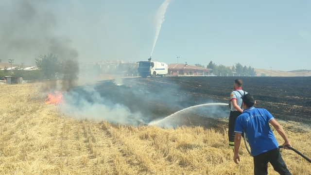 Siirt'te çıkan arazi yangını söndürüldü