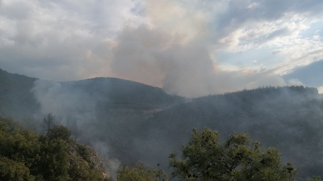 Tokat'ta ormanlık alanda çıkan yangına müdahale ediliyor