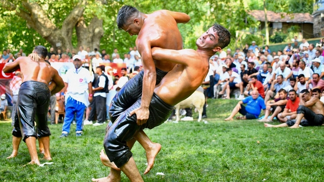Menteşe Beşpınar Yağlı Güreşleri'nde başpehlivanlığı Yusuf Can Zeybek kazandı