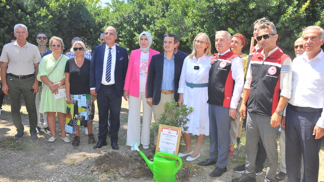 İzmir'de damla sakızı üretiminin artırılması planlanıyor