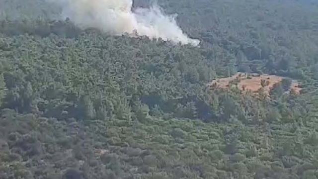 İzmir Urla'da orman yangını çıktı