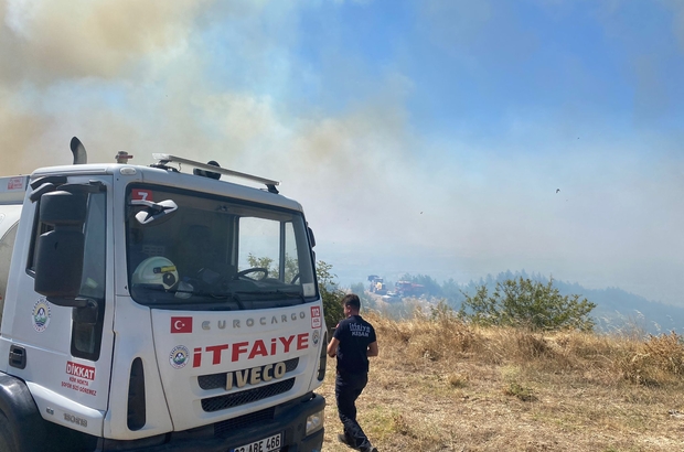 Edirne’de orman yangını (2)