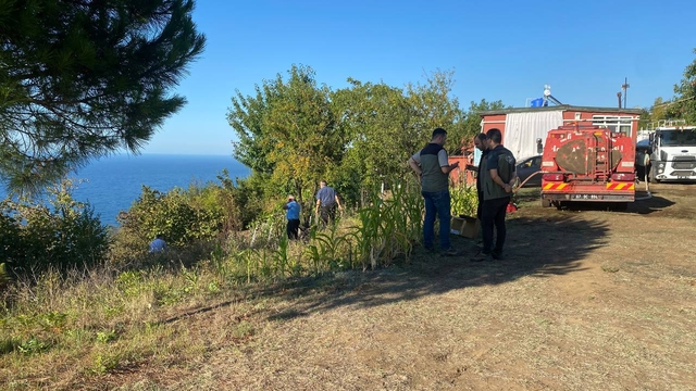 Zonguldak'ta fındık bahçesinden ormanlık alana sıçrayan yangın söndürüldü