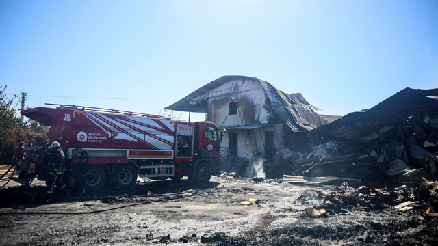 Antalya'da kağıt fabrikası yandı