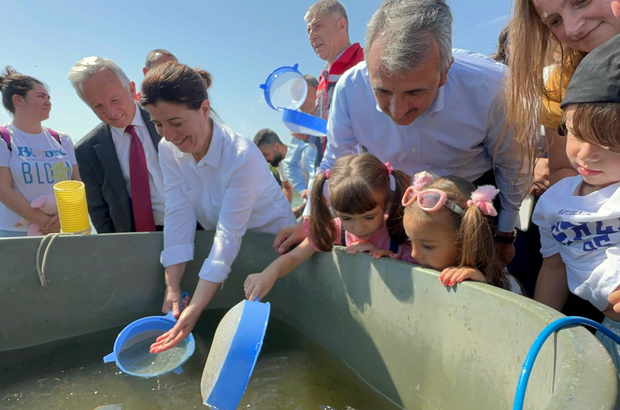 Edirne'de bu yıl 10 milyon yavru sazan üretilip, iç sulara bırakıldı