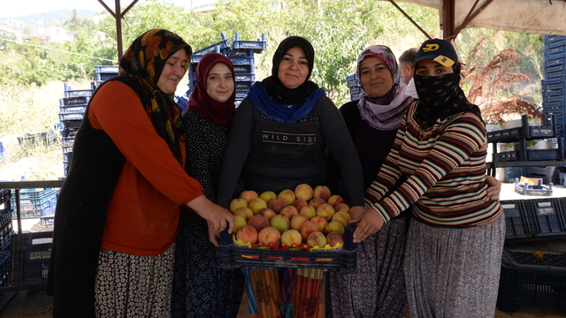 Şeftalide verim yüz güldürüyor